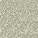 205003