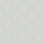 205001